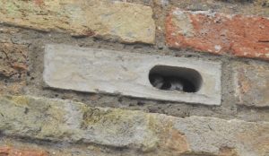 s brick02